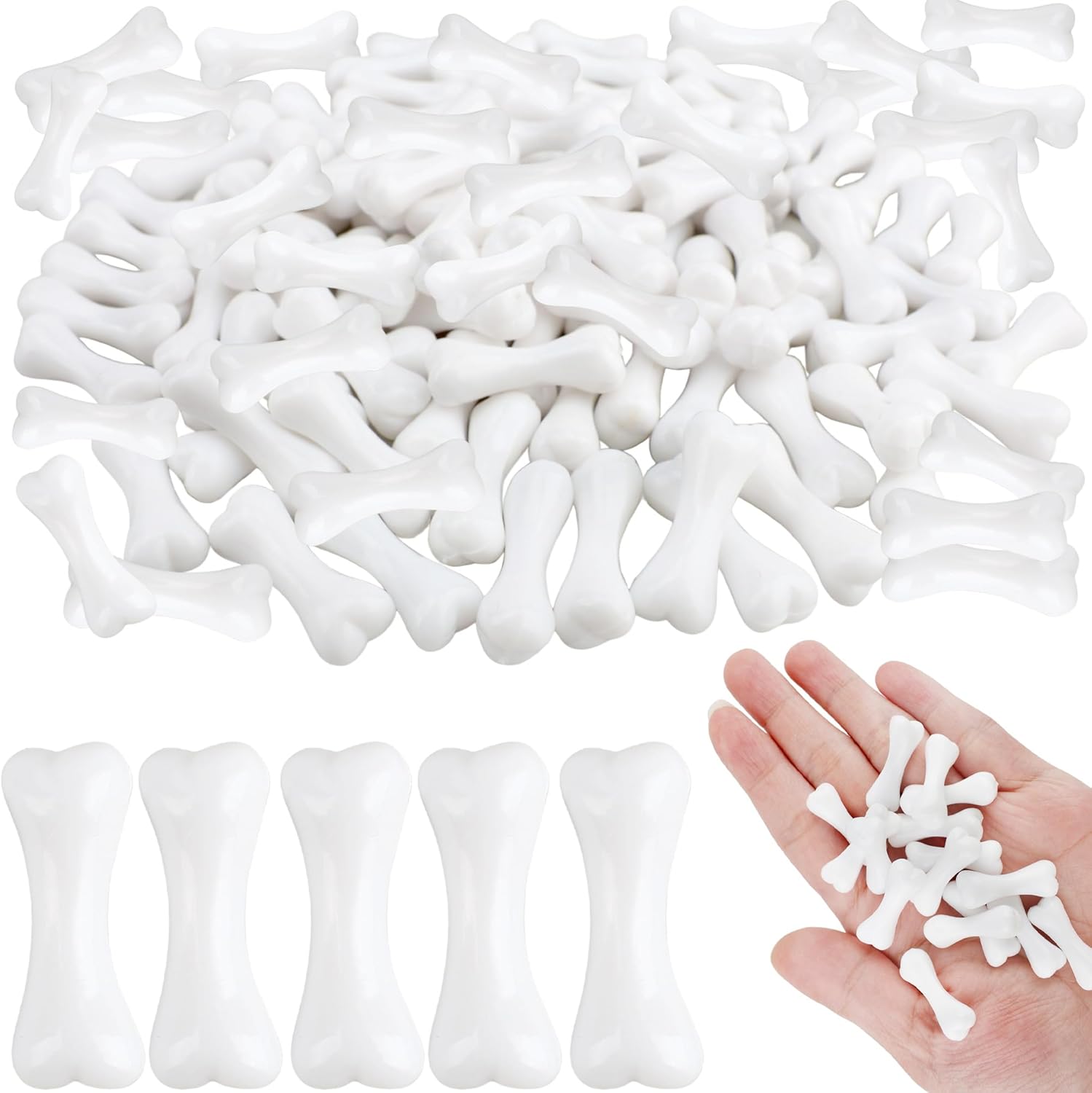 Skeleton Bone Hunt