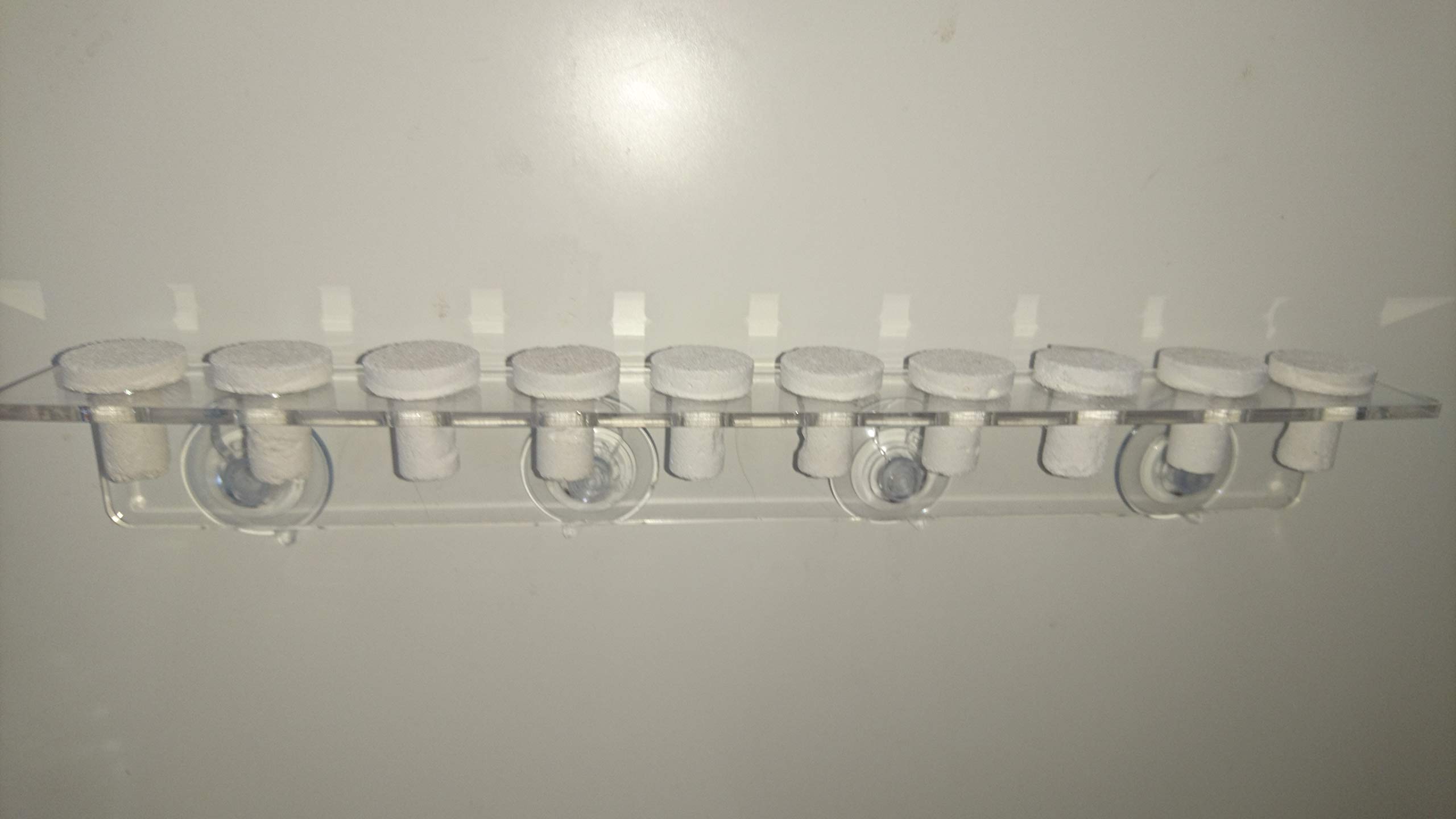 d-reef frag rack (10 hole, clear)