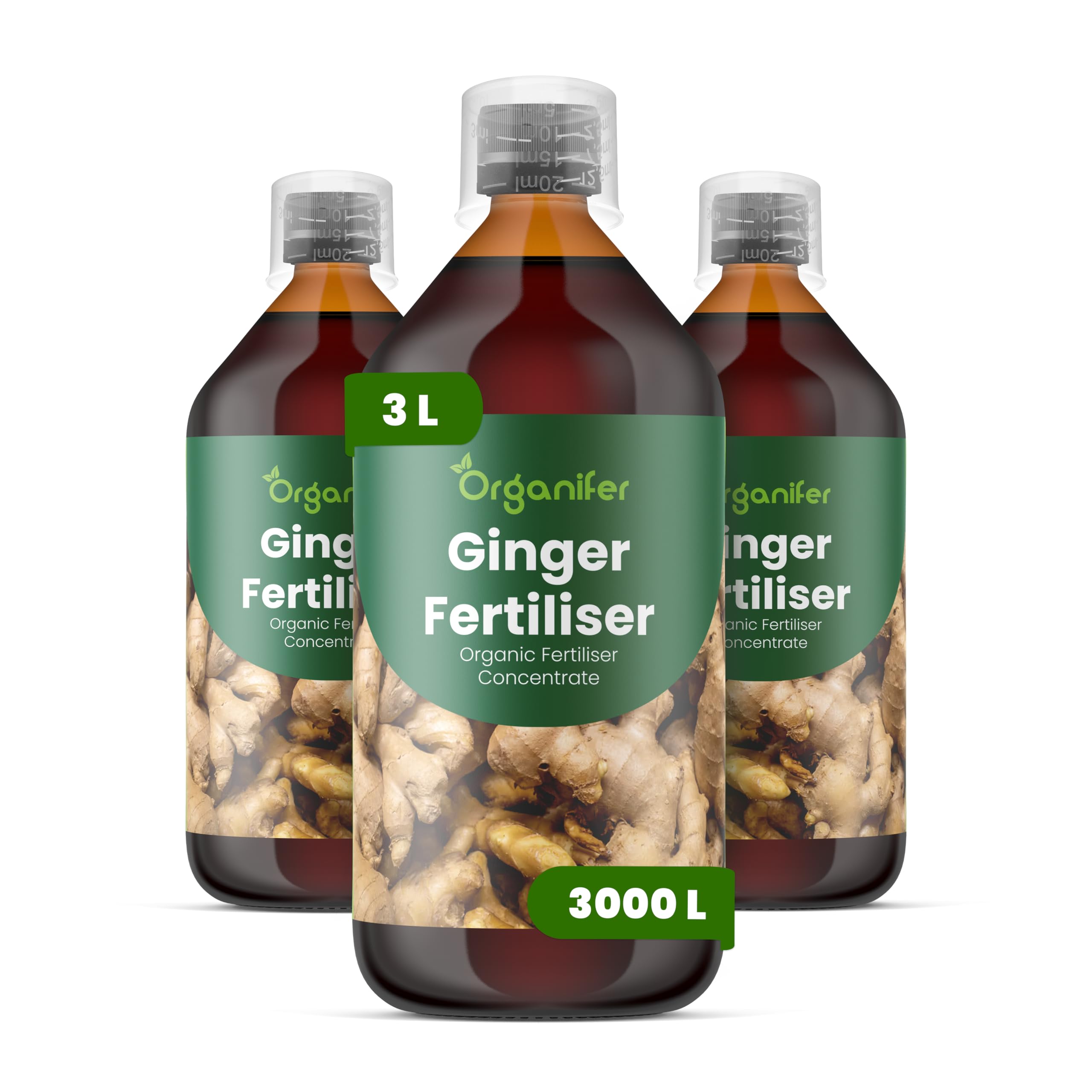 Ingwer Flüssigdünger - 3x1L - NPK 2-1-8