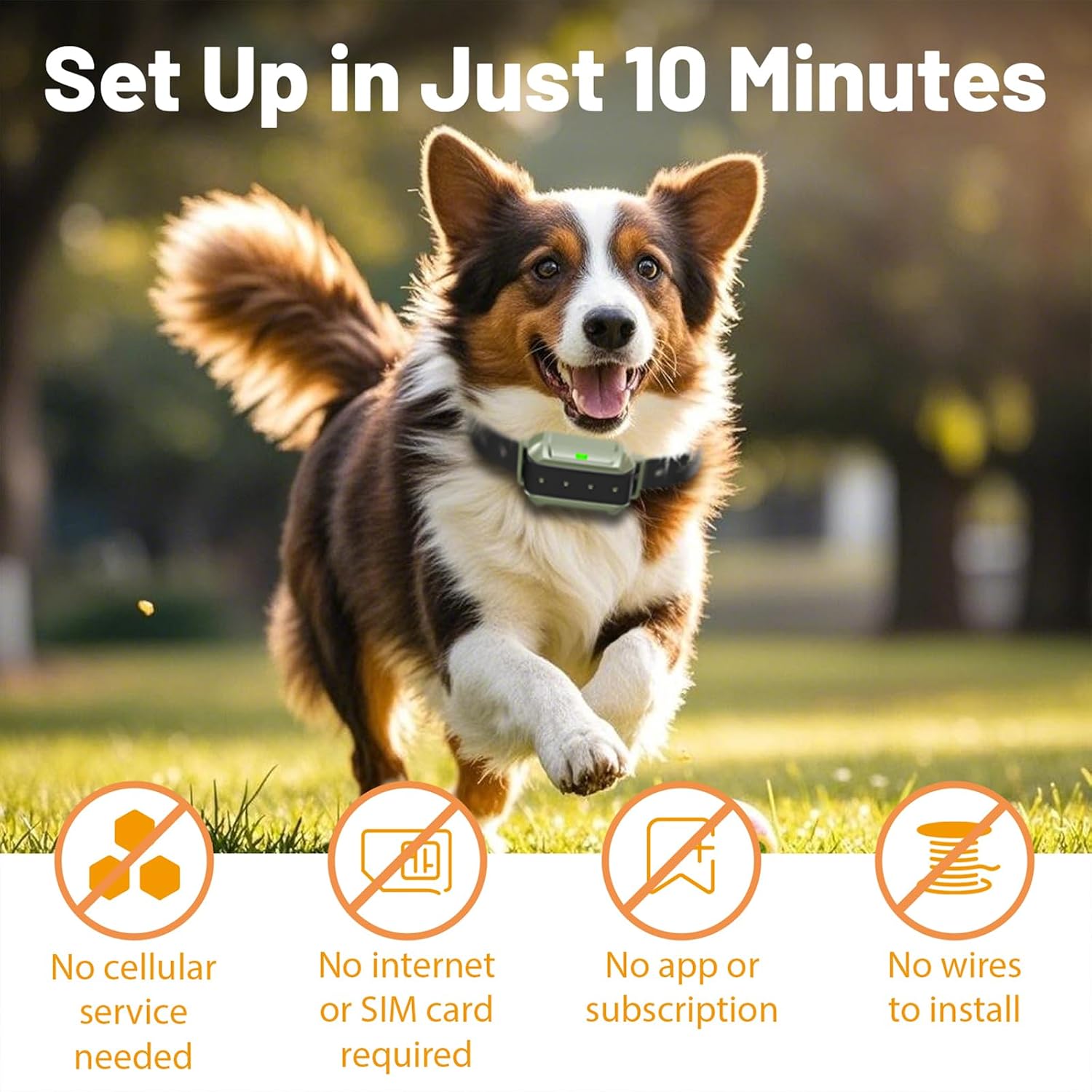 Wireless Dog Fence System, 3-in-1 Invisible Dog Fence, Electric Dog Fence Collar with Training & Forbidden Zone Modes, Radar Technology, Adjustable 10-280 FT Boundary, IPX7 Waterproof (2 Dogs)
