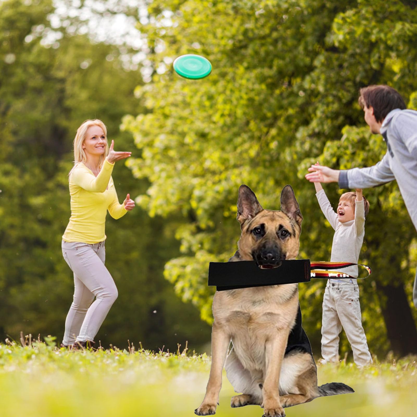 BEST FURRY FRIENDS Rope & Stick Dog Toy