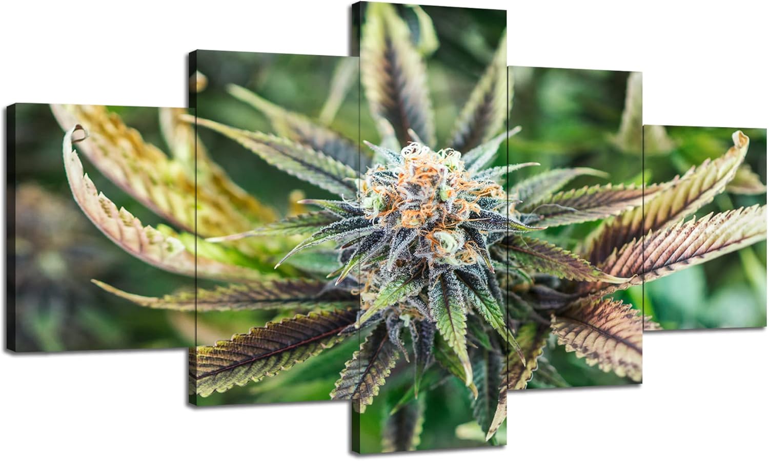 Marijuana Wall Art Cannabis Leaves Wall Decor Painting Marijuana Leaf Picture Printed Canvas Plant Poster Painted Framed Living Room Decoration Ready to Hang 5 Piece(60''Wx32''H)