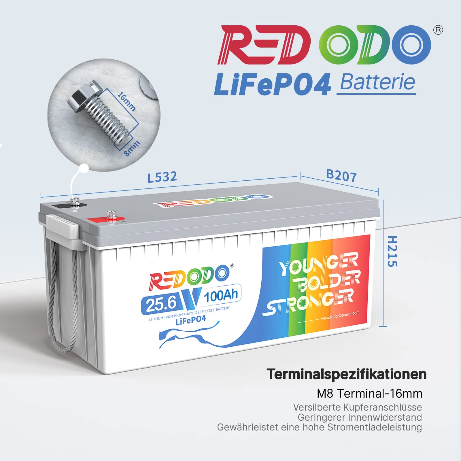 Redodo Bateria litowa LiFePO4 25,6V 100Ah, Akumulator LiFEPO4 Wbudowany 100A BMS, 4000+ Cykli, 10 Lat Żywotności, Bateria Lifepo4 24V Odpowiednia Do Przyczep Kempingowych, awaryjne zasilanie domu