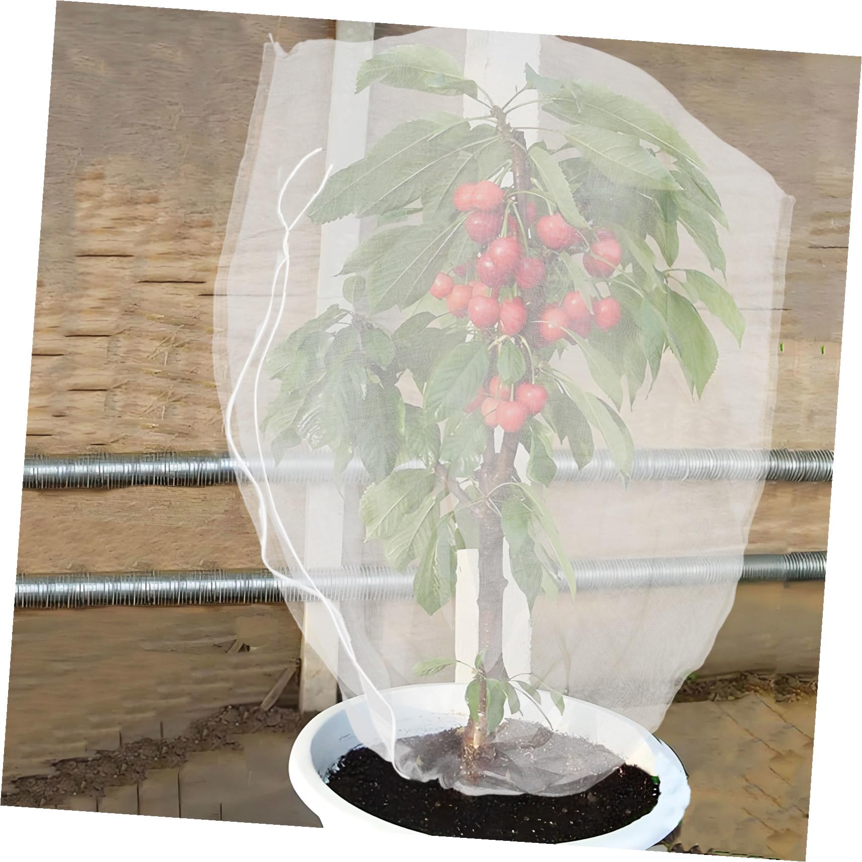 8 Piezas Bolsa de Malla para Plantas con Cordón Protectora para Árboles Frutales y Huertos Malla Fina para Jardín contra Insectos Cobertura Reutilizable para Verduras y Frutas