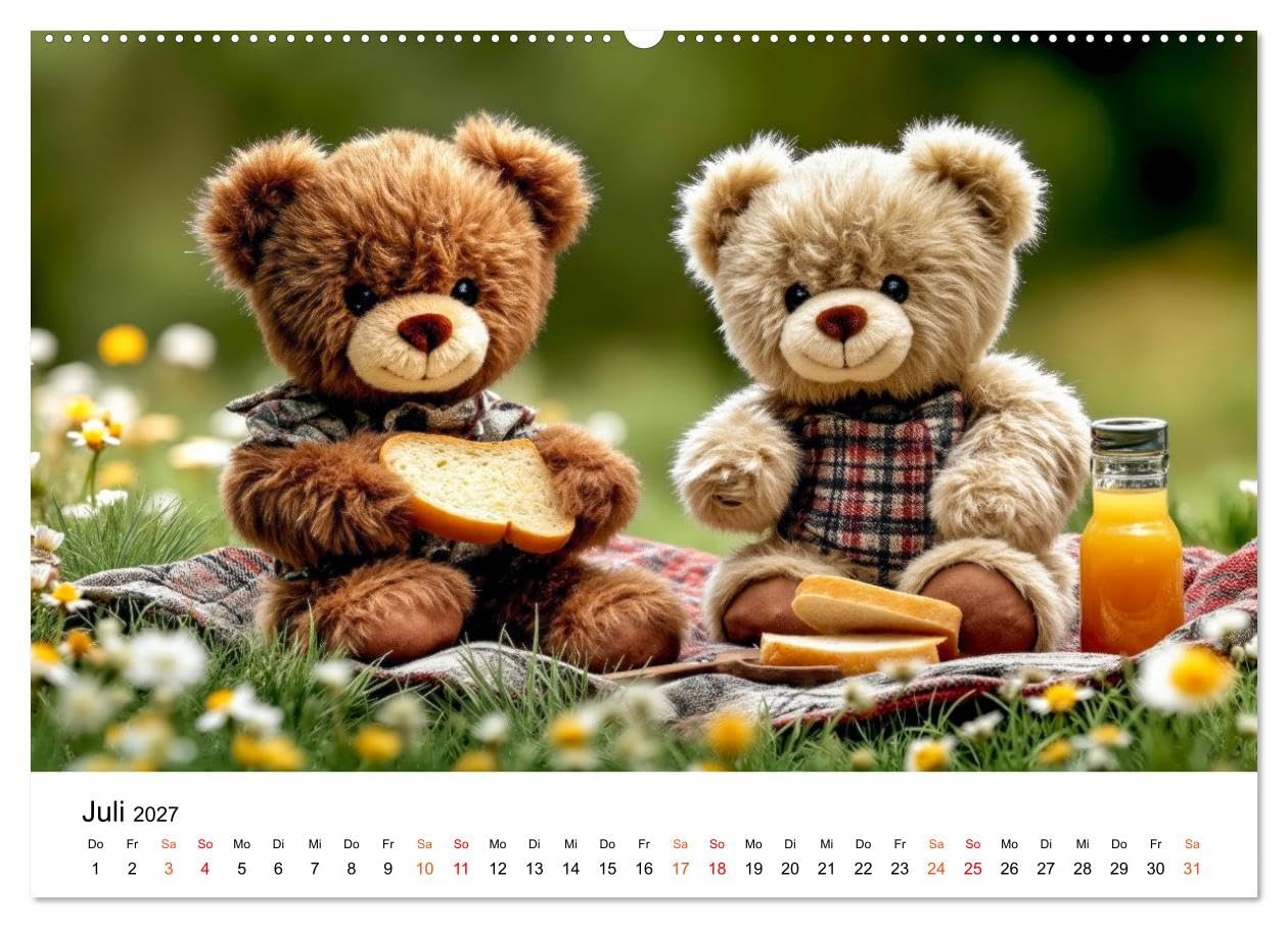 Teddybären - im Doppelpack durchs Jahr (hochwertiger Premium Wandkalender 2027 DIN A2 quer), Kunstdruck in Hochglanz: Zwei kleine Fellfreunde meistern das große Leben. (CALVENDO Tiere)