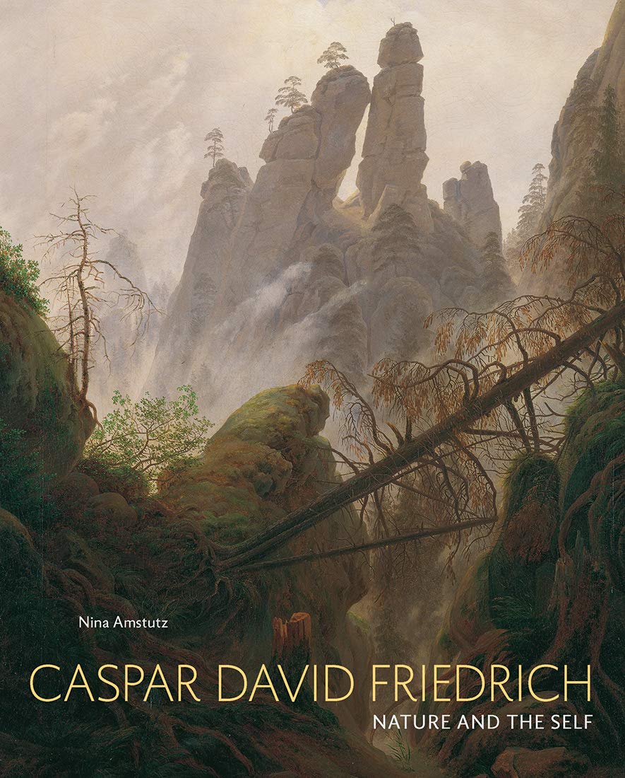 Caspar David Friedrich Nature and the Self by Nina Amstutz (Hardback Book)