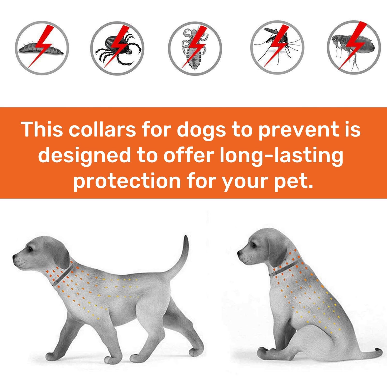 2 Pack Collar for Cats,Cat Collar,Cat Collar to Prevent,Safe Waterproof Adjustable Cat Collars,Containing Natural Essential Oils,Small Dog Collar,Dog Col/lar Small D/og,Puppy Do/g Colla/r - Image 2