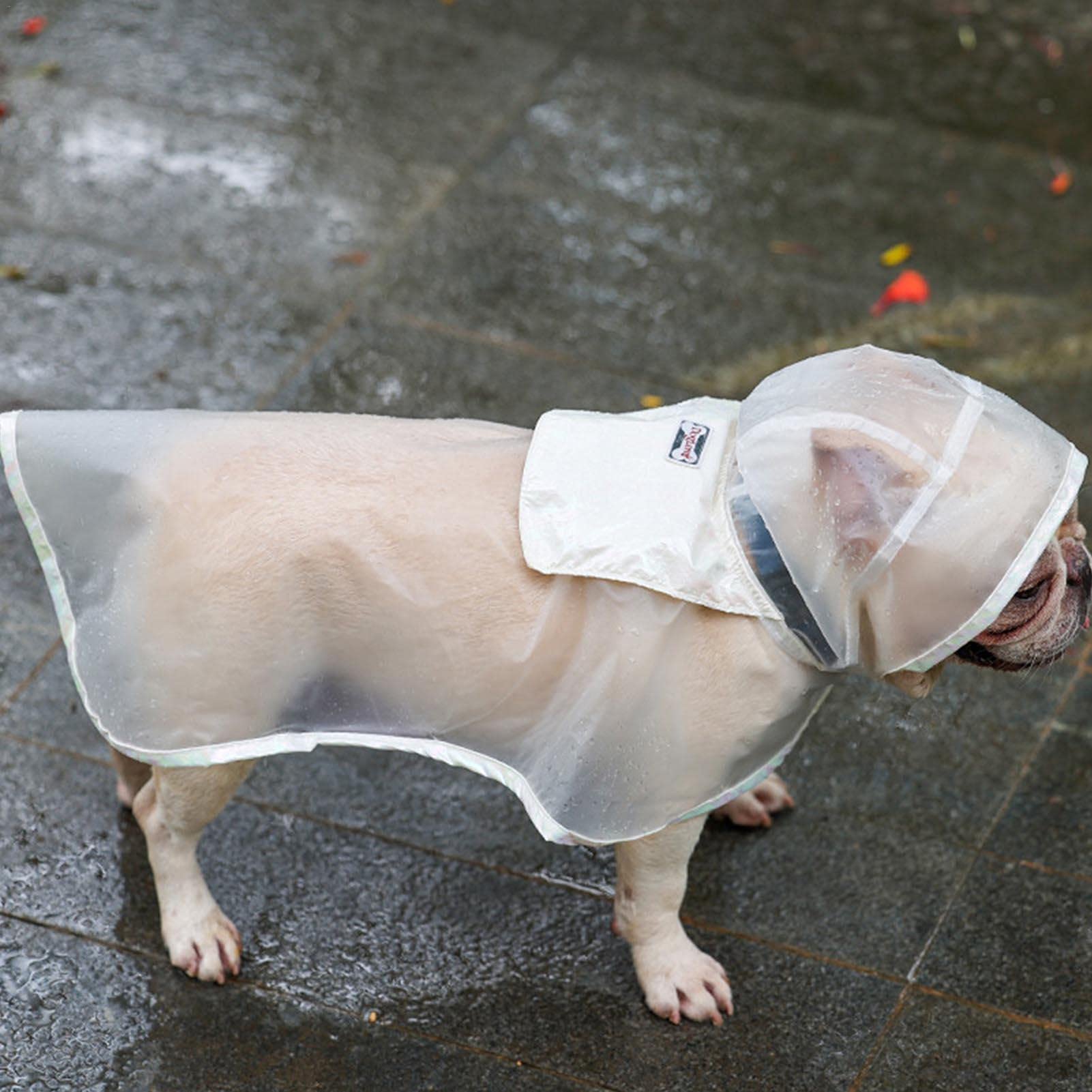 Impermeabile Per Cani Verde - Antipioggia, Copertura Pancia, Regolabile, Taglie S, M, L - Foto 13