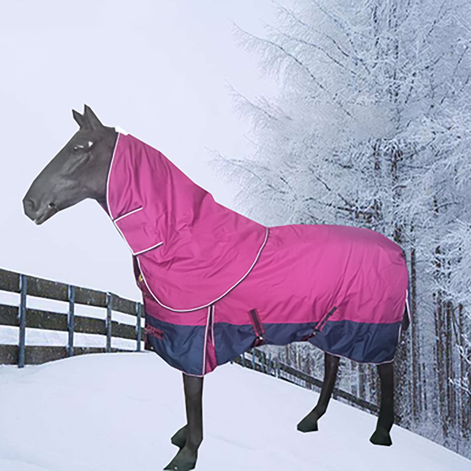 Coperta per Cavalli Invernale Coperta da Paddock per Cavallo TurnoutMorbido e Caldo Coperta Paddock Horses Cotone Invernale(Size:145CM)