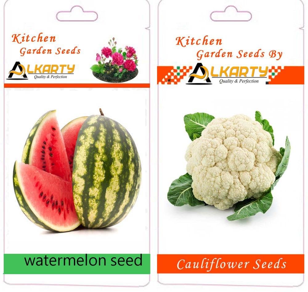 Cauliflower and Water Melon Seed (20 Each)-picture-31