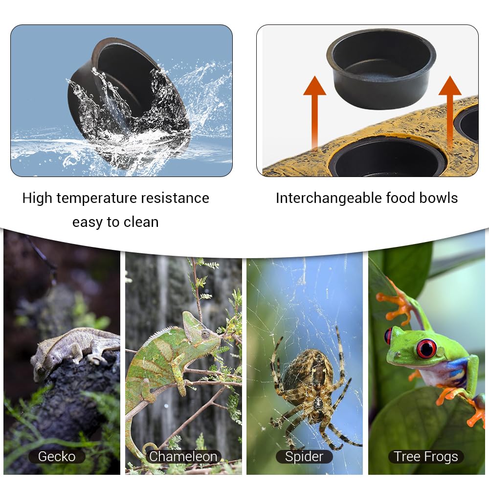 MiOYOOW Repisa magnética para reptiles, repisa de alimentación de geco de doble cuenco con 2 tazas de alimentación para ranas, tortugas, lagartos, reptiles y gecos