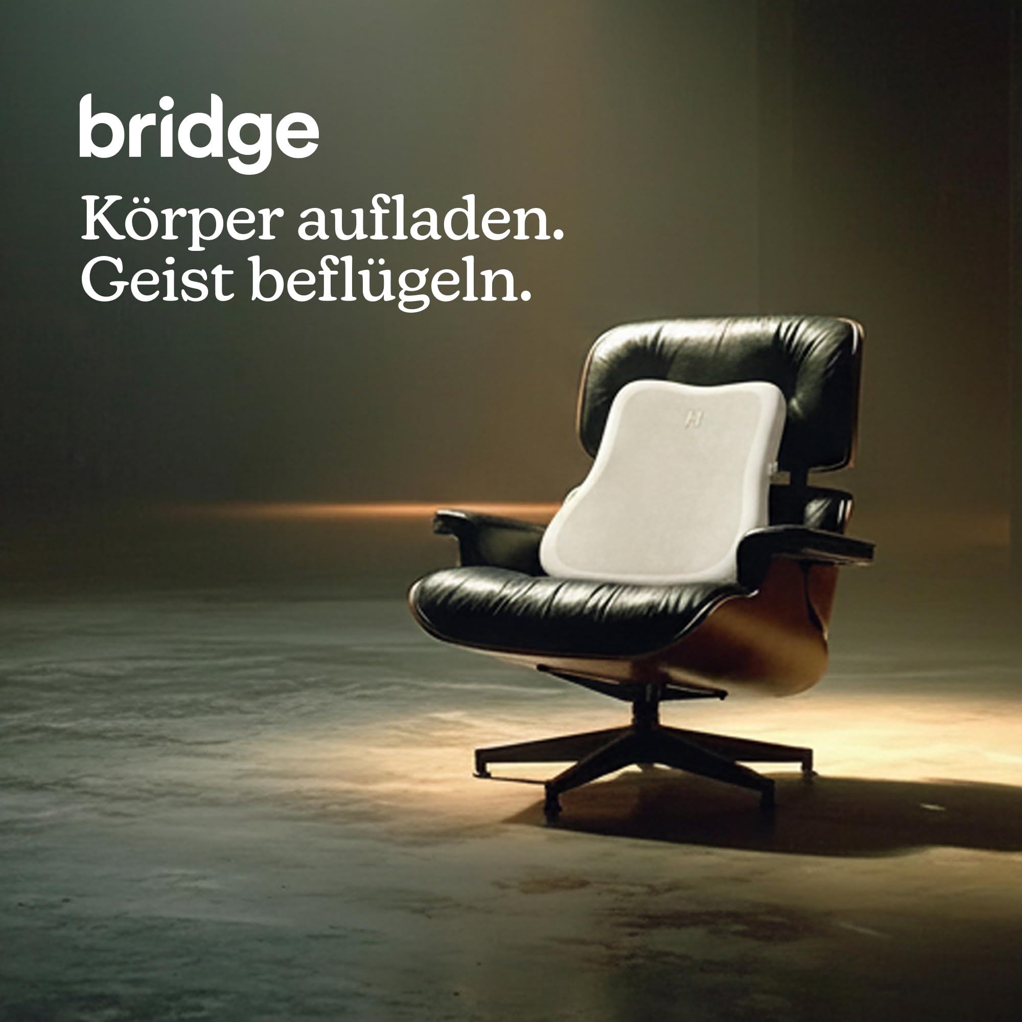 Homedics Bridge Vibroakustisches Rückenmassagekissen für den Stuhl