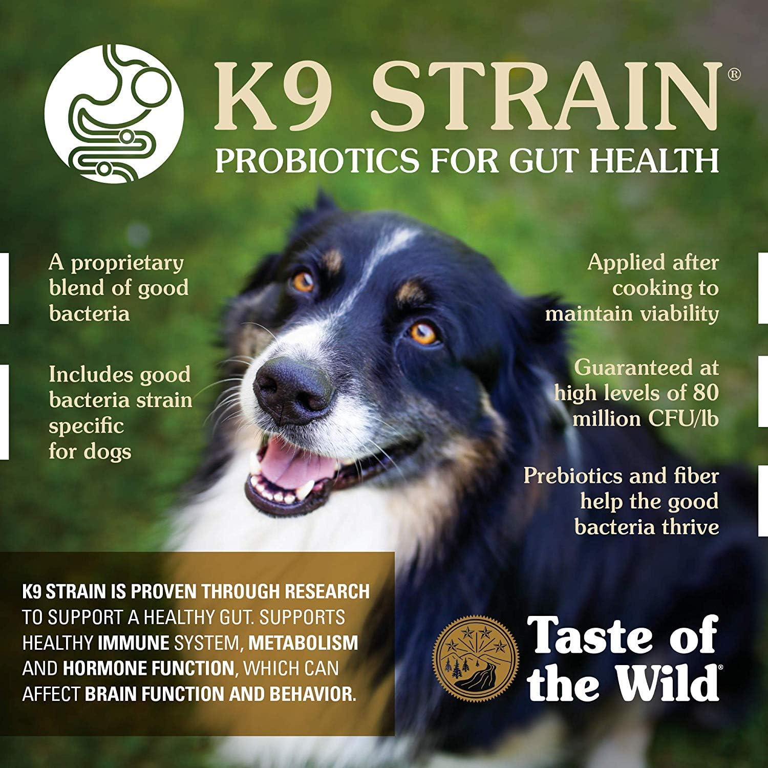 Taste of The Wild Dog Dry Food Ancient Mountain Canine Recipe 12.7kg