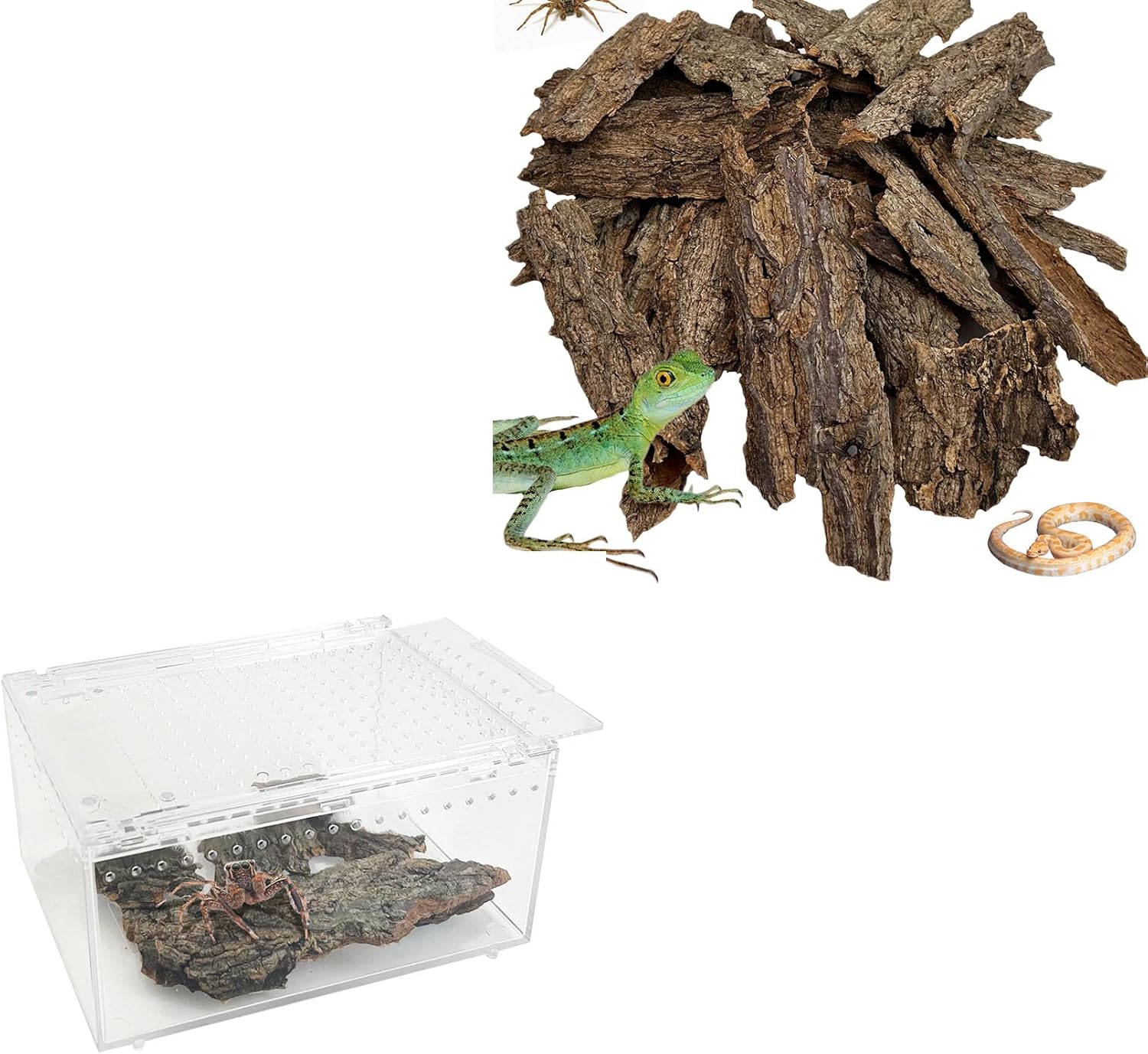 Reptile Cork Bark with Reptile Terrarium Enclosure Acrylic Tarantula Breeding Box Magnetic Hermit Crab Habitat Tank Transparent Jumping Spider Cage