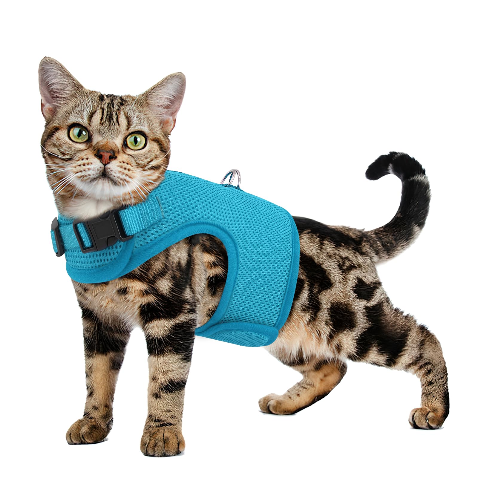 MoNiBloom Soft Cat Harness for Walking Escape Proof and Travel, Kitten Adjustable Breathable Vest Harness - Sky Blue, S