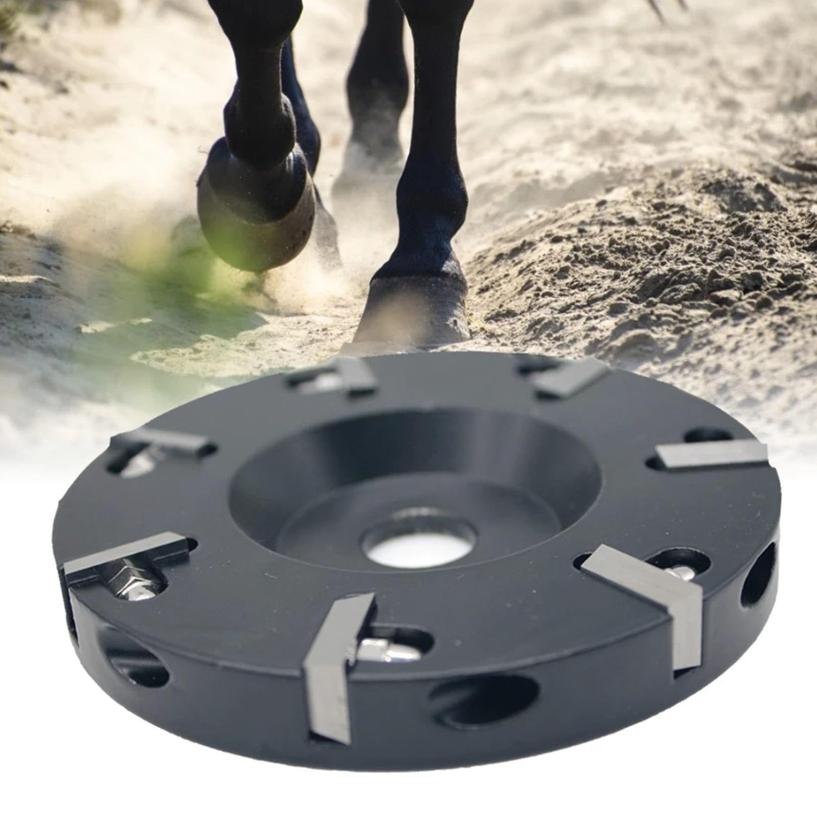 Disco per rifilare zoccoli Lega di alluminio temprato 8 lame Mola per bovini Cavalli Pecore Bestiame Strumento per la cura degli zoccoli Diametro 10 cm Altezza 1 cm