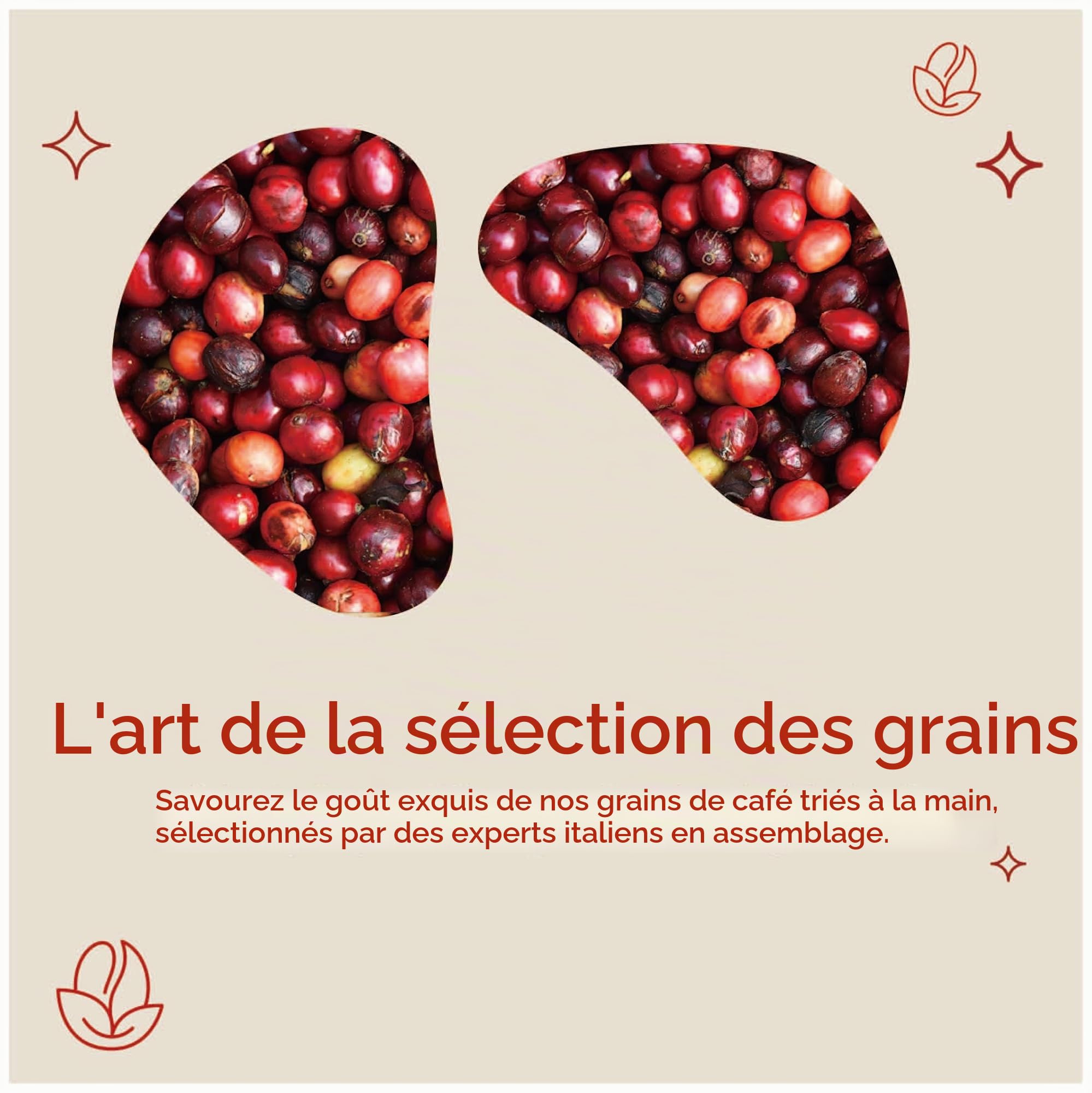 Café en grains Kimbo Dolce Crema, torréfaction légère, sachet de 1 kg