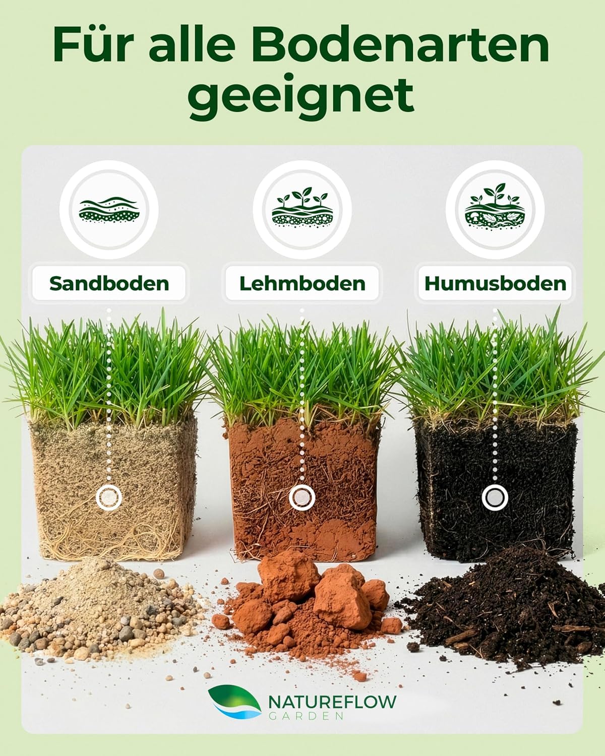 Rasensamen schnellkeimend Sommer 1kg – TEST SEHR GUT – Grassamen schnellkeimend Rasen Nachsaat Made in Germany – Rasensaat 40qm - Rasensamen Sommer Samen von Natureflow