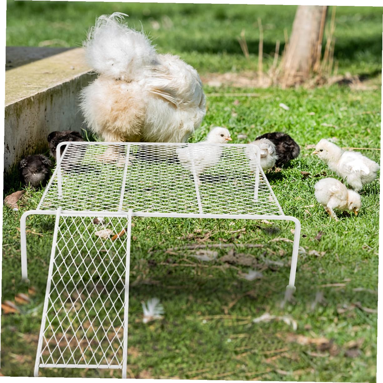 Mikikit Soporte de Hierro para Plataforma de Gallinero y Jaulas de Hámster, Promueve el Ejercicio y Movimiento, Color White, Adecuado para Jaulas Pequeñas Varios Estilos