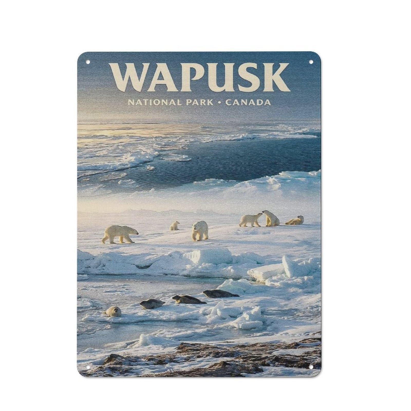 Junmoney Style-8 Modern Retro Decorative Metal Plaque 40X30cm Featuring Wapusk National Park Canada, Loft Wall Plaque For Flat, Bar, Studio Or Gallery Wall