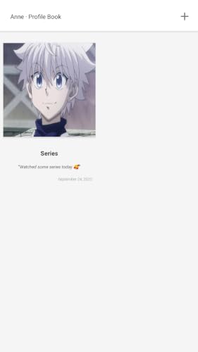 Self Profile Book – vue 4