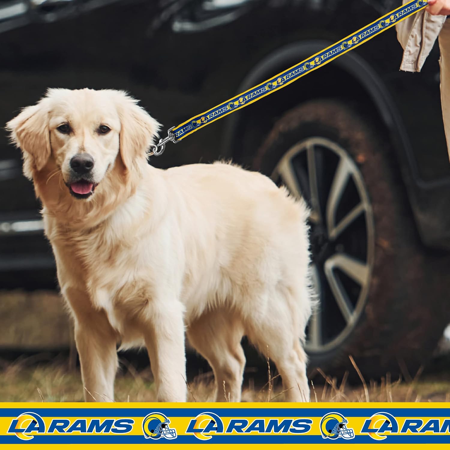 Pets First Los Angeles Rams Pet Leash, Large, Silver, 6 feet