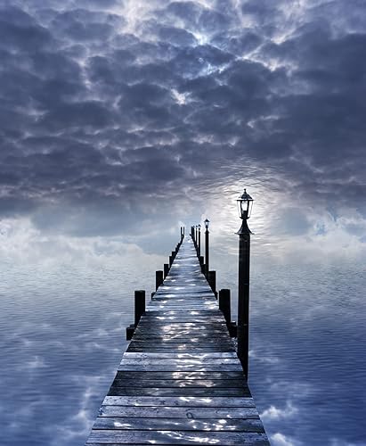 Wwwuscom Kits de pintura por números para adultos sobre lienzo, pintura por números para adultos, puente sin fin, kits de pintura de bricolaje con 4