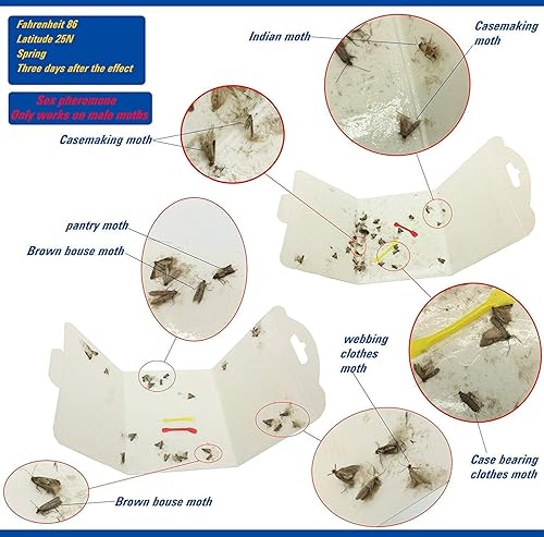 Miniatura 3 de Trampas para polilla para ropa y despensa con feromona atrayente, segura, no tóxica sin insecticidas