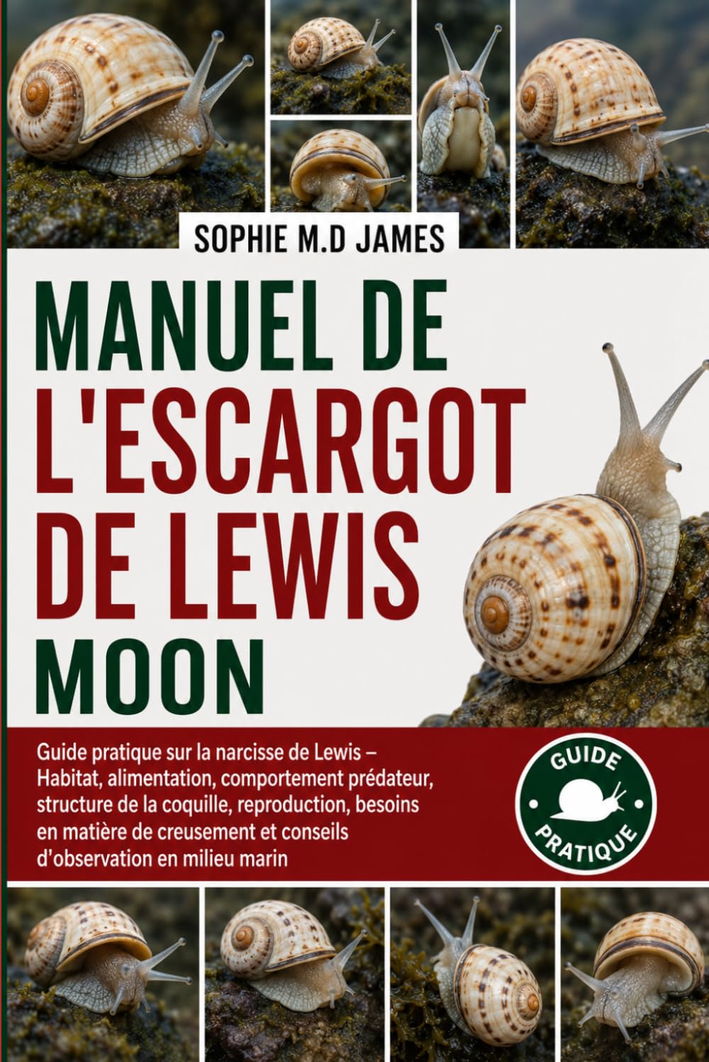 MANUEL DE L'ESCARGOT DE LEWIS MOON: Guide pratique sur la narcisse de Lewis – Habitat, alimentation, comportement prédateur, structure de la coquille, ... et conseils d'observation en milieu marin