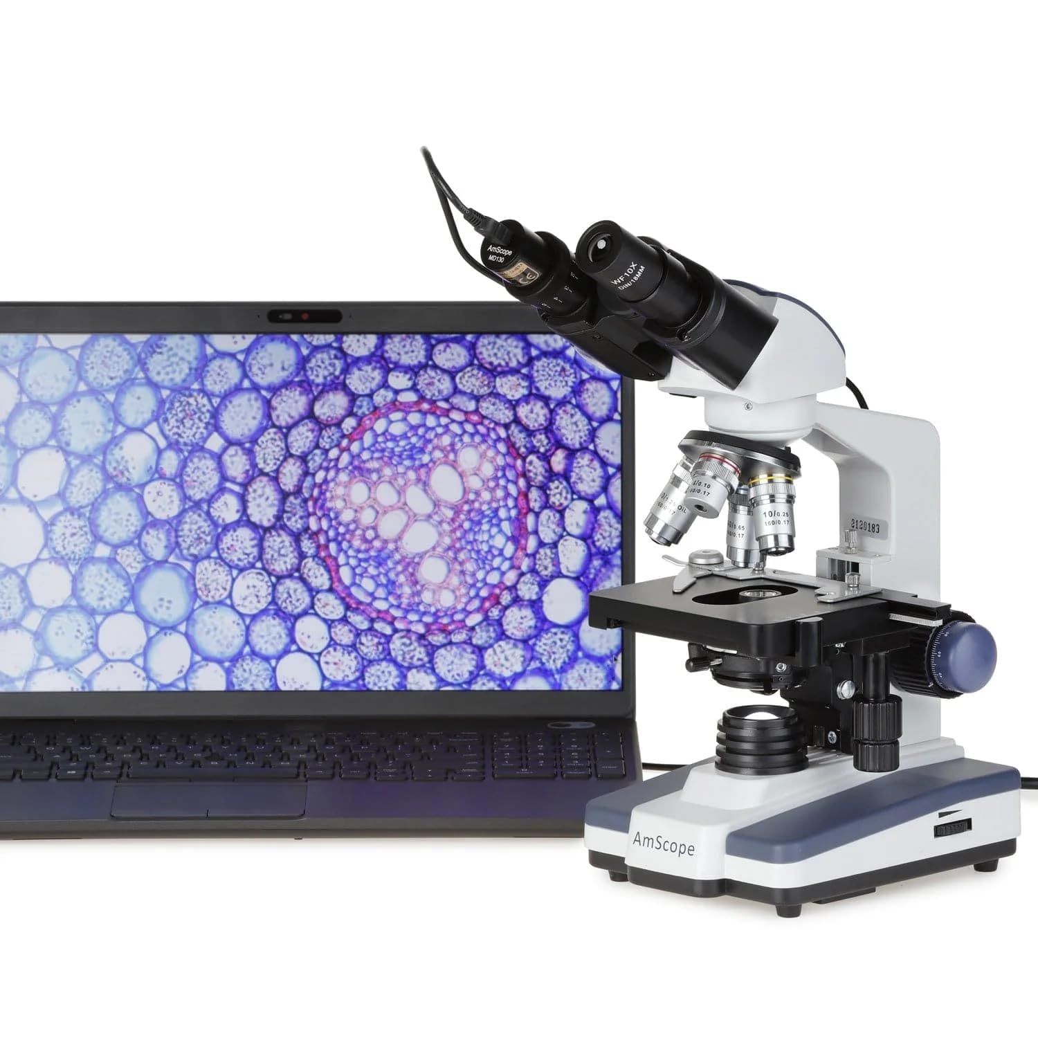 AmScope - Microscopio compuesto binocular digital LED 40X-2500X w etapa 3D + cámara USB 3MP - B120C-E3