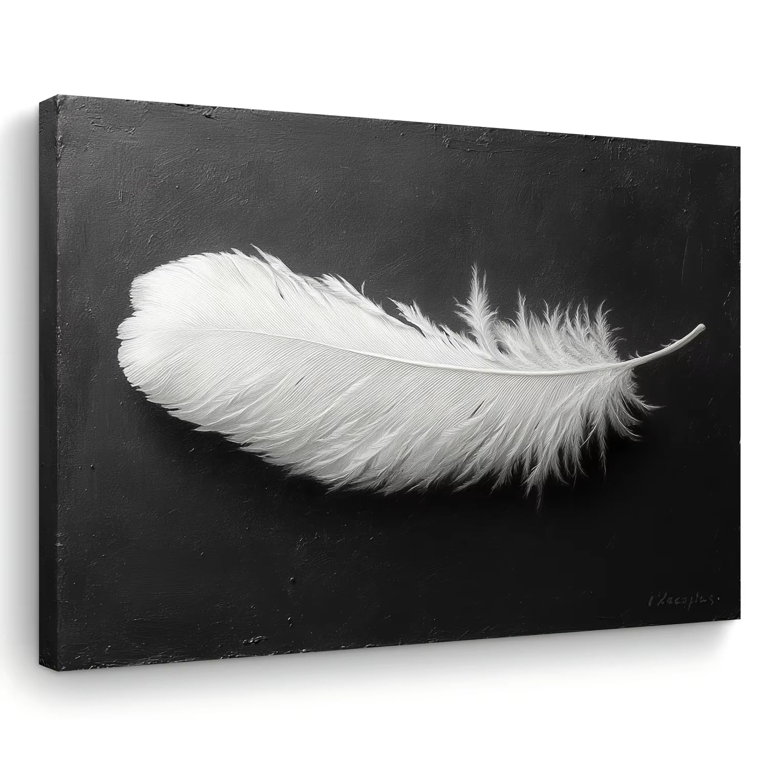 awtrhfc White Feather Canvas Art Wooden Framed Wall Decor for Living Room, Bedroom, Kitchen & Office(30x45cm(12x18in)/No frame)