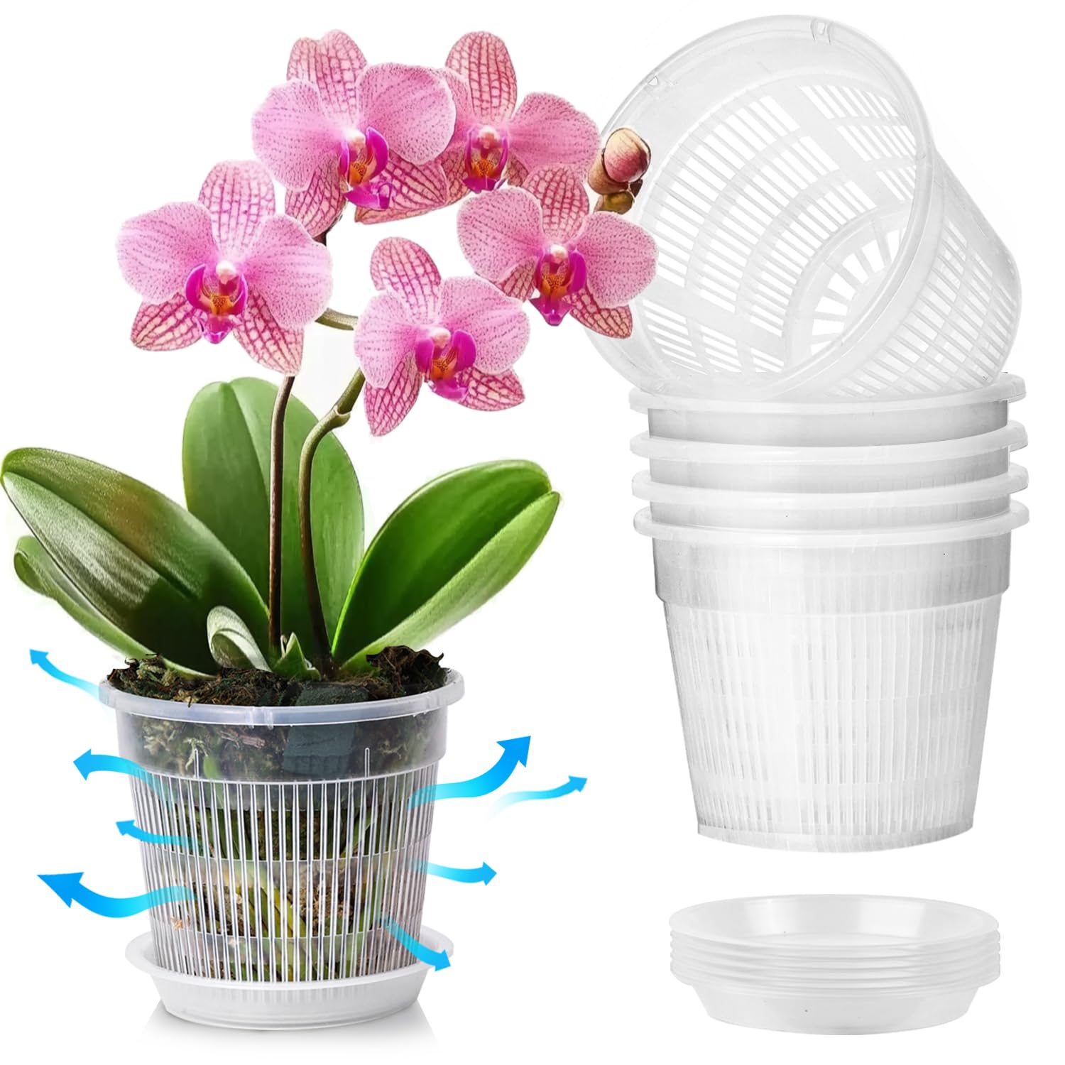 T4U Orchid Pot, 6 Pack 11cm Orchid Pots with Holes and Saucers, Clear Orchid Pots for Repotting, Plastic Flower Plant Pot for Indoor Outdoor Plants, Slotted Orchids Planter for Root Health