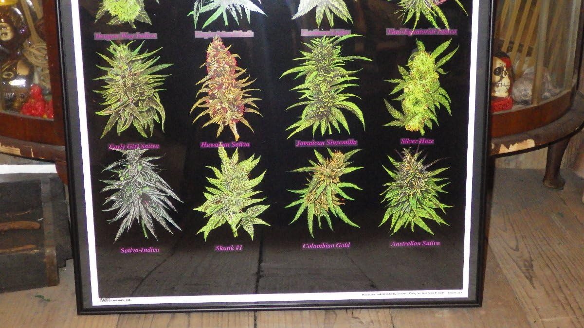 激レア 70's ヒッピー マリファナ ブラックライト ポスター ネオン