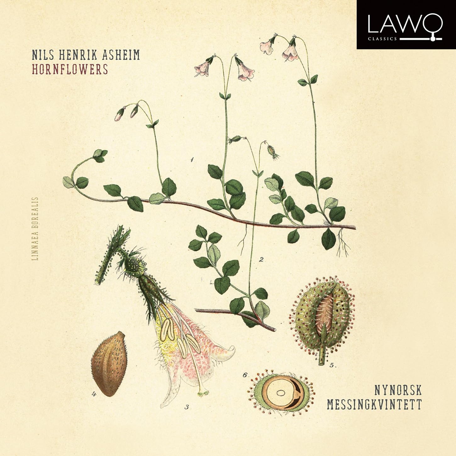 Nils Henrik Asheim: Hornflowers