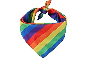Tinsow Rainbow Pride Dog Bandana