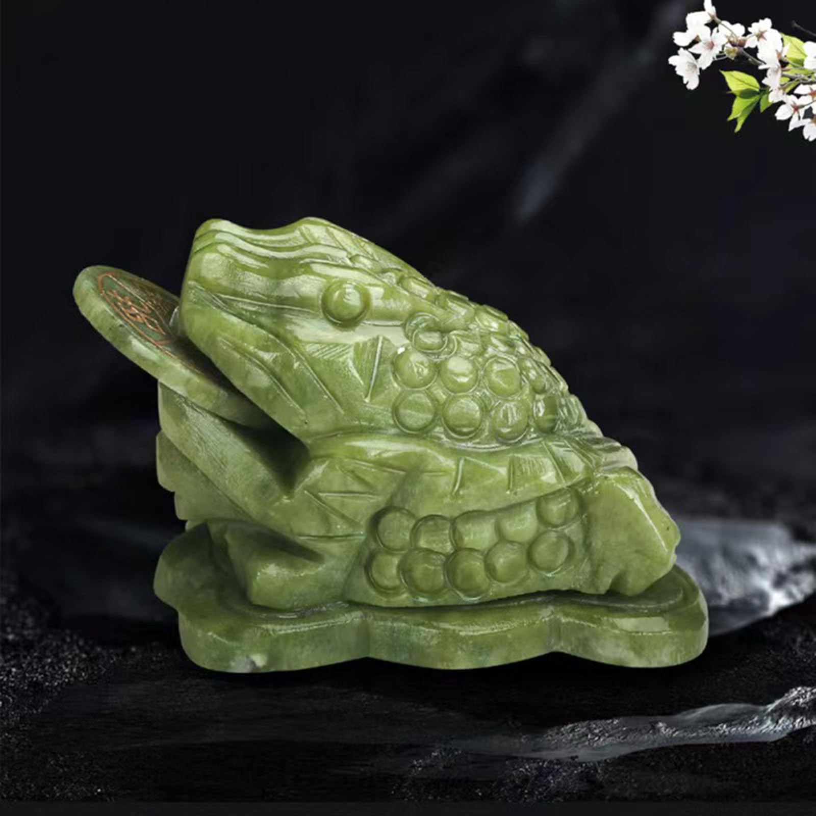 Amazon.com: Jeonz Feng Shui Jade Money Frog with Coin in Mouth