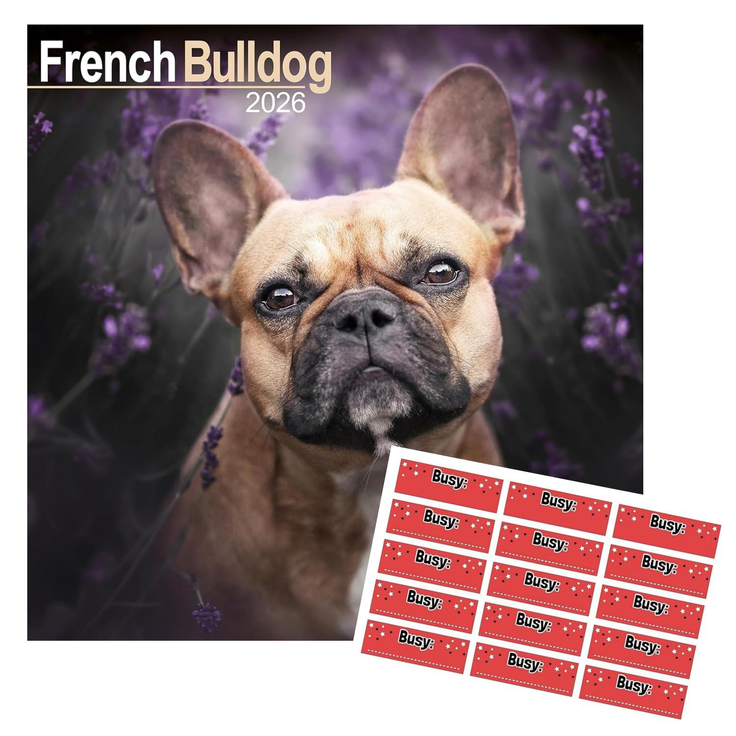 Avonside French Bulldog 2027 Square Calendar with Organisational Stickers