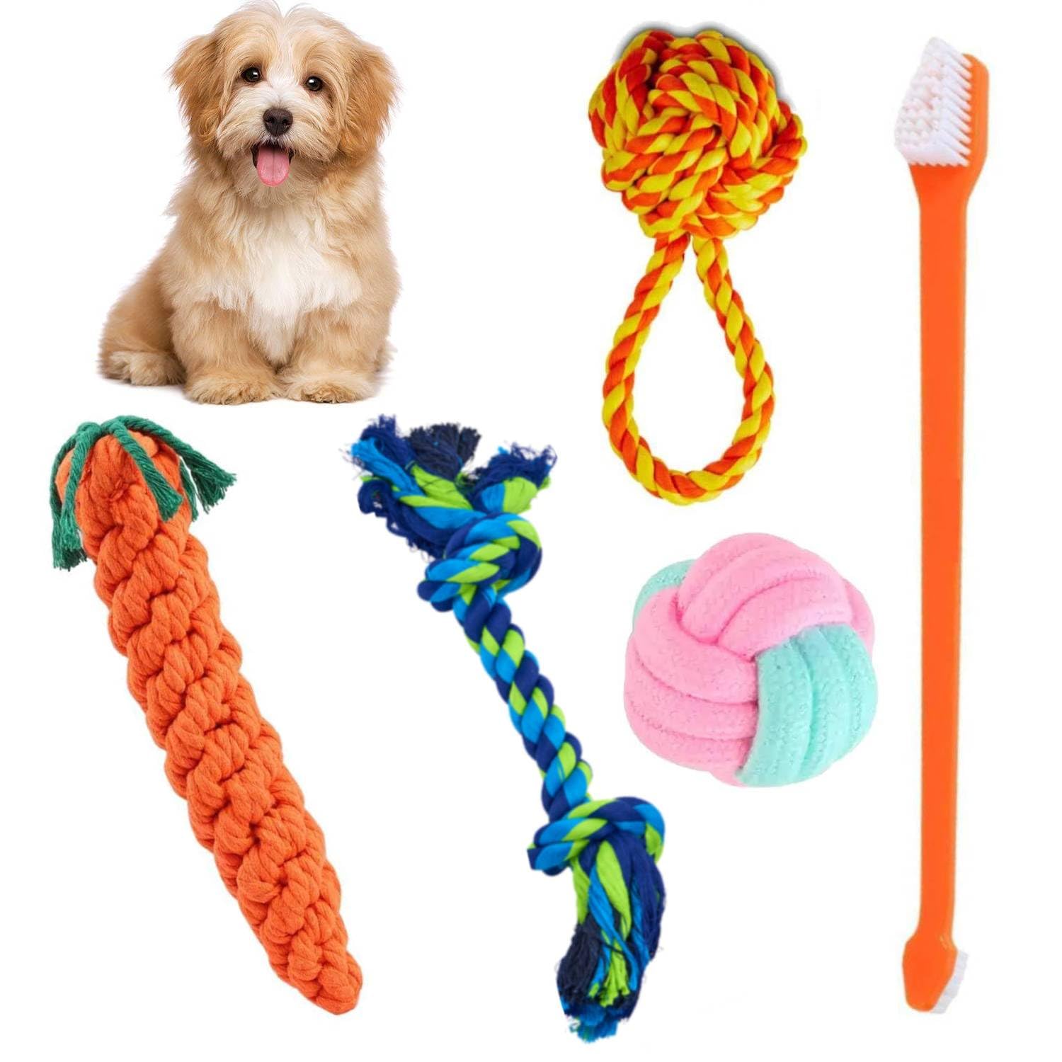 See full amazon price history chart for PETZLUV Puppy Chew Toys for Teething, Toys for Medium Dogs, Toothbrush for Pets, Ball for Puppies - Multicolor PETZLUV Puppy Chew Toys for Teething, Toys for Medium Dogs, Toothbrush for Pets, Ball for Puppies - Multicolor (B0D54GB42L) Amazon Price History, Amazon Price Tracker