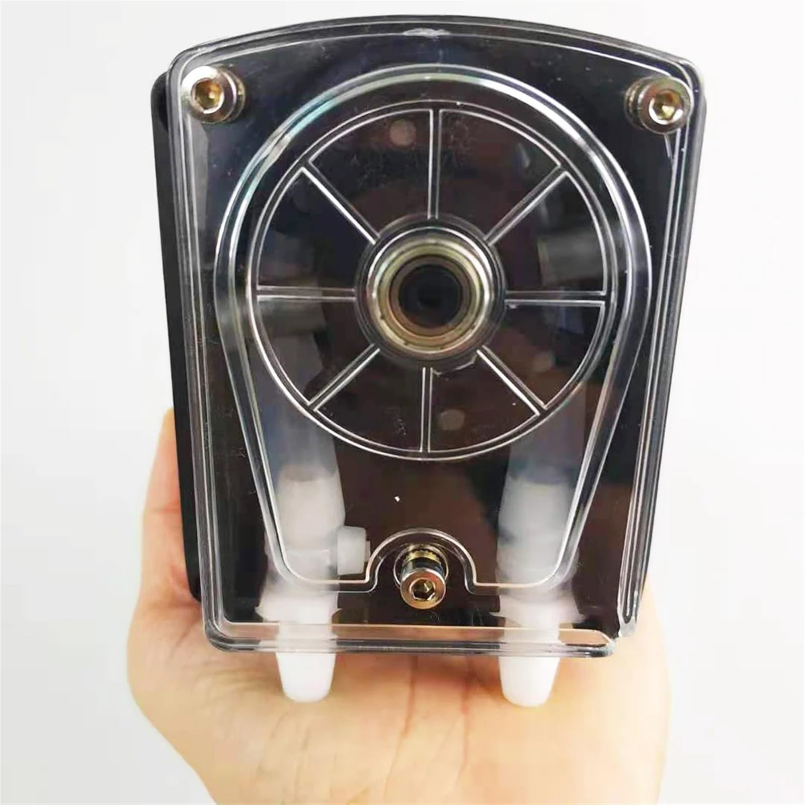 Pompa peristaltica dosatrice 12 V 24 V, alta portata per acquario, laboratorio analitico (tubo in silicone, 24 V)