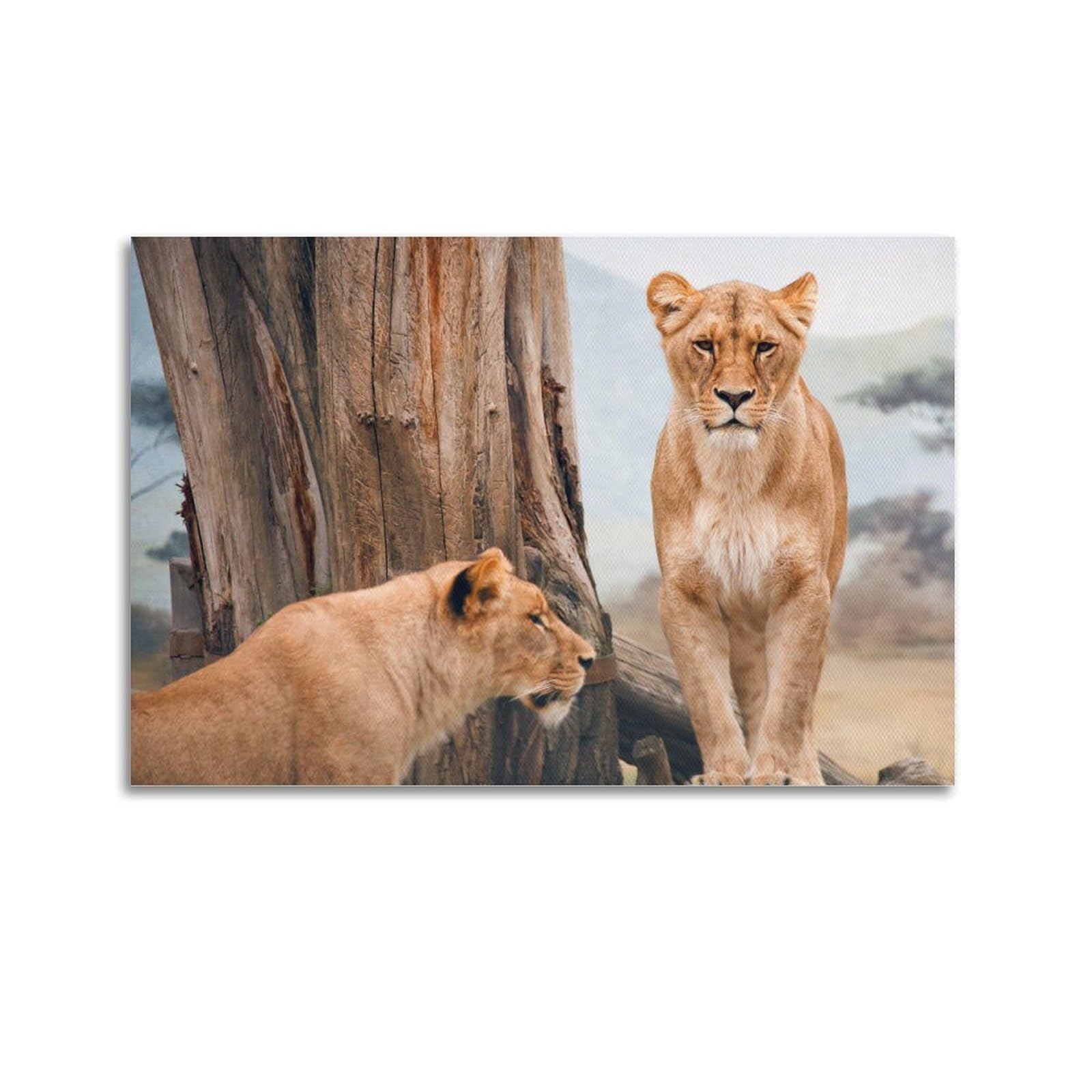 JTLFXY Animal Poster Lion And Lioness Poster Decorative Painting Canvas Wall Posters And Art Picture Print Modern Family Bedroom Decor Posters 20x30inch(50x75cm)