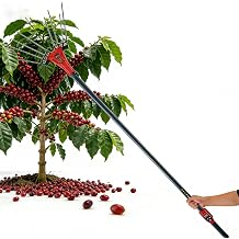 Electric Olive/Fruit Harvester W/Telescopic 5.7-9.8ft Pole,Cordless Backpack Pole Fruit Picker Tool, Electric Tree Shaker for Citrus Berry Nut,2-Speed for Soft & Hard Fruits 600W