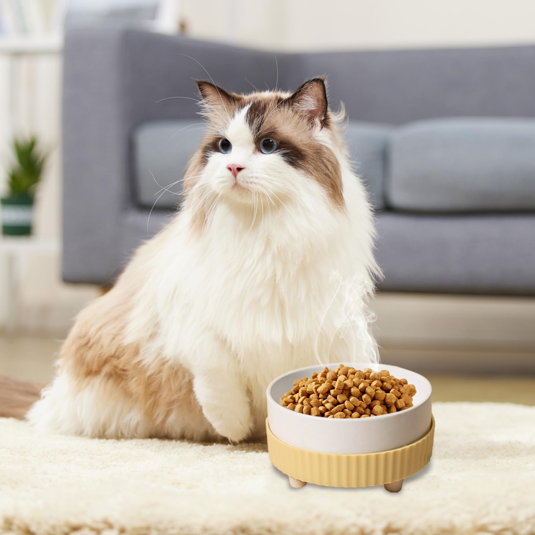 Gamelle Chauffante Pour Animal Domestique, 450 Ml, Bol Chauffant En Acier Inoxydable, Interface USB, Bol De Chauffage Rapide Pour Chats Et Chiens, Bol D'eau Thermique D'extérieur Pour Animaux De