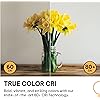 Product Photo 7