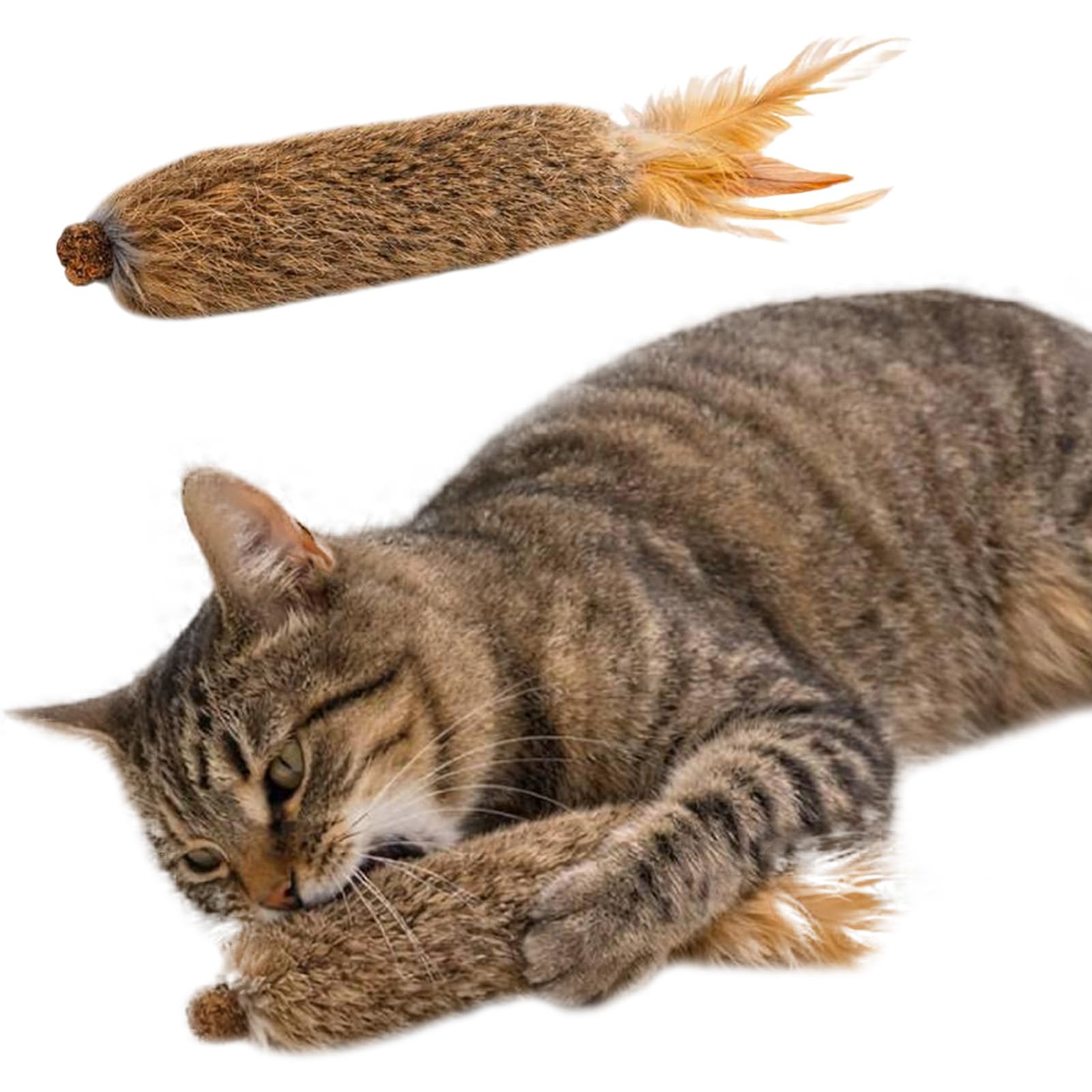 Giocattoli interattivi per gatti con coniglio finto, erba gatta e noce di galla argentata, stimola e pulisce