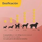 Ver la foto 5