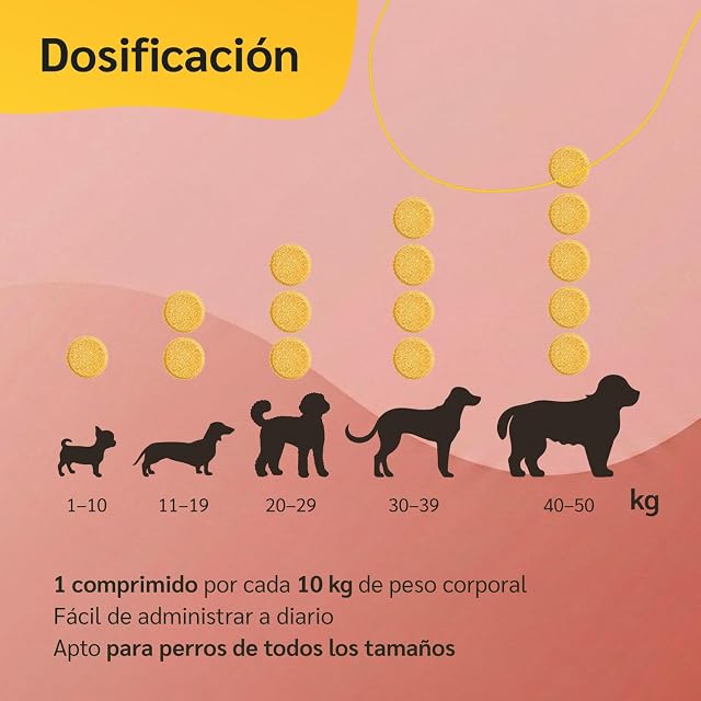 Foto 5 de 7 de amusi Multivitaminico Perros y Gatos