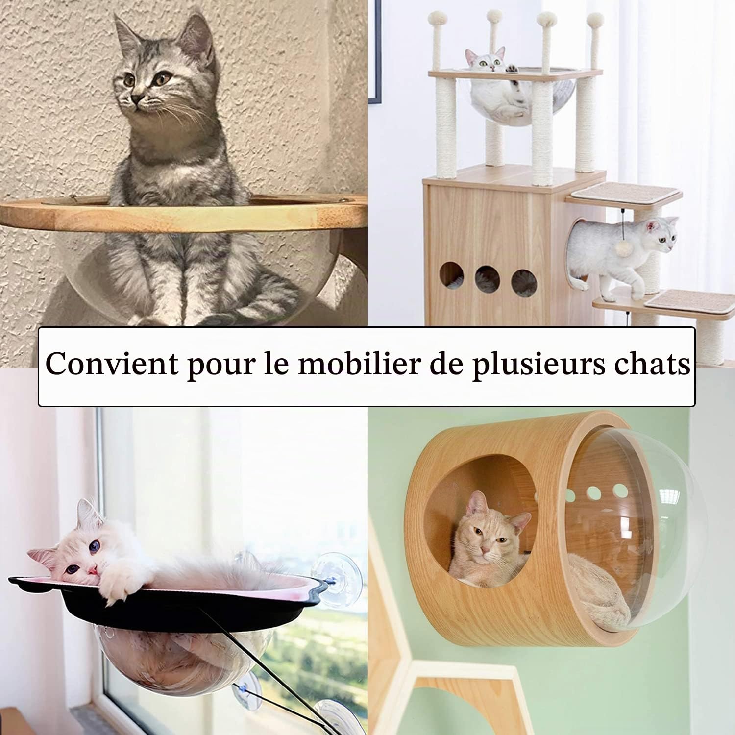 Couchette de réchange pour Arbre à Chats, Demi-sphère en Acrylique avec Bord pour Bricolage Transparent 300 mm Diameter, Hamac Montage Facile, 2pcs