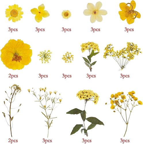 Miniatura 9 de Flores secas naturales mezcladas multicolor, flor prensada, mini rosa hortensia margarita para manualidades, bricolaje, resina, arte de uñas,