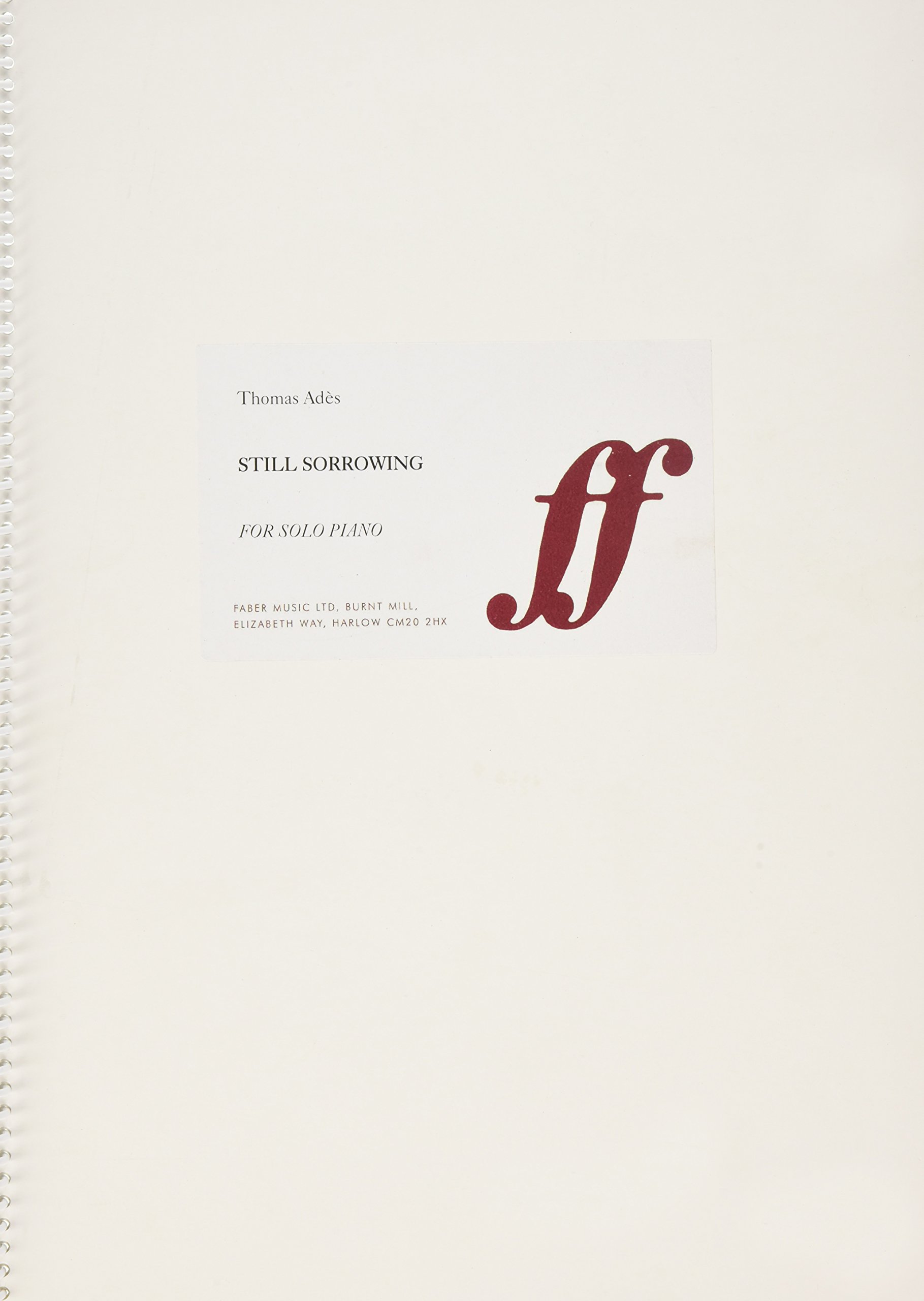 Still Sorrowing édition d'art raffinée avec finitions faites main