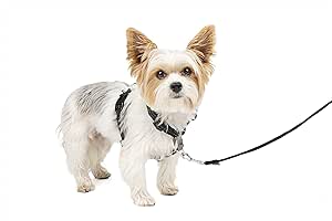 PetSafe 3 in 1 No-Pull Dog Harness - Walk, Train or Travel